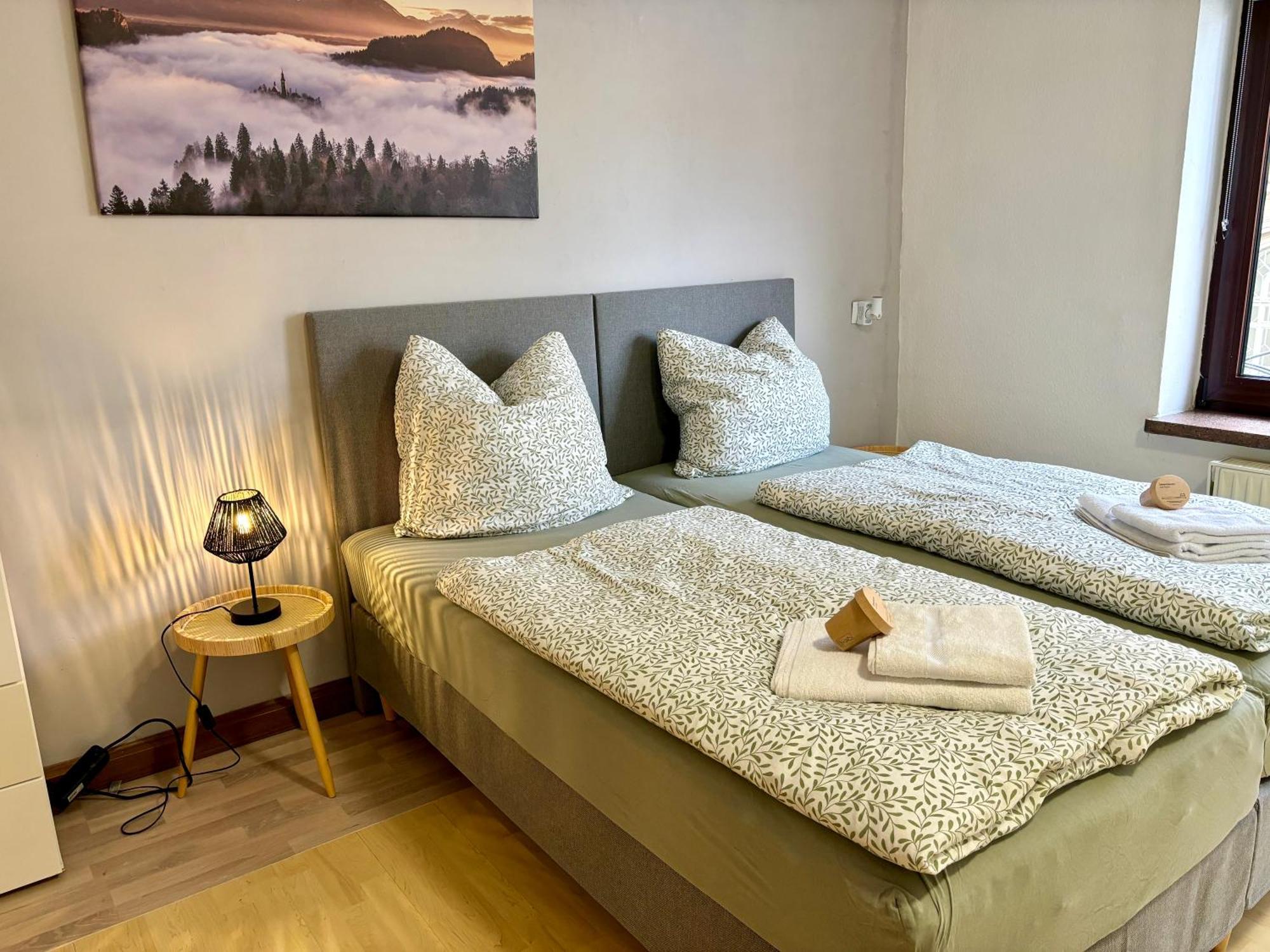 Harmony - Ganzes Appartement 3 Schlafzimmer City Meiningen Esterno foto